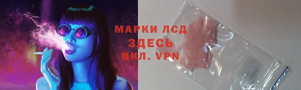 шишки Слюдянка