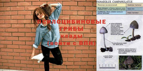 бутират Баксан