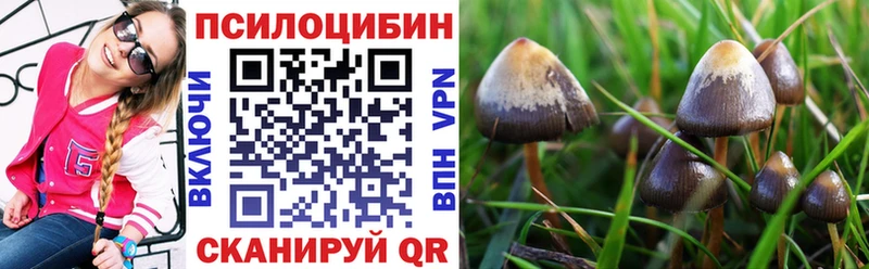 Галлюциногенные грибы мицелий Котельники